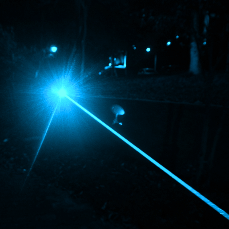(image for) Search Light Laser Torch Flashlight for Bones Teeth 460nm Wavelength